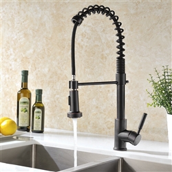 Bronze Kitchen Faucet